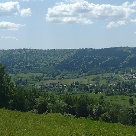 Domki Brzozowka W Bieszczadach Ustrzyki Dolne Exterior photo