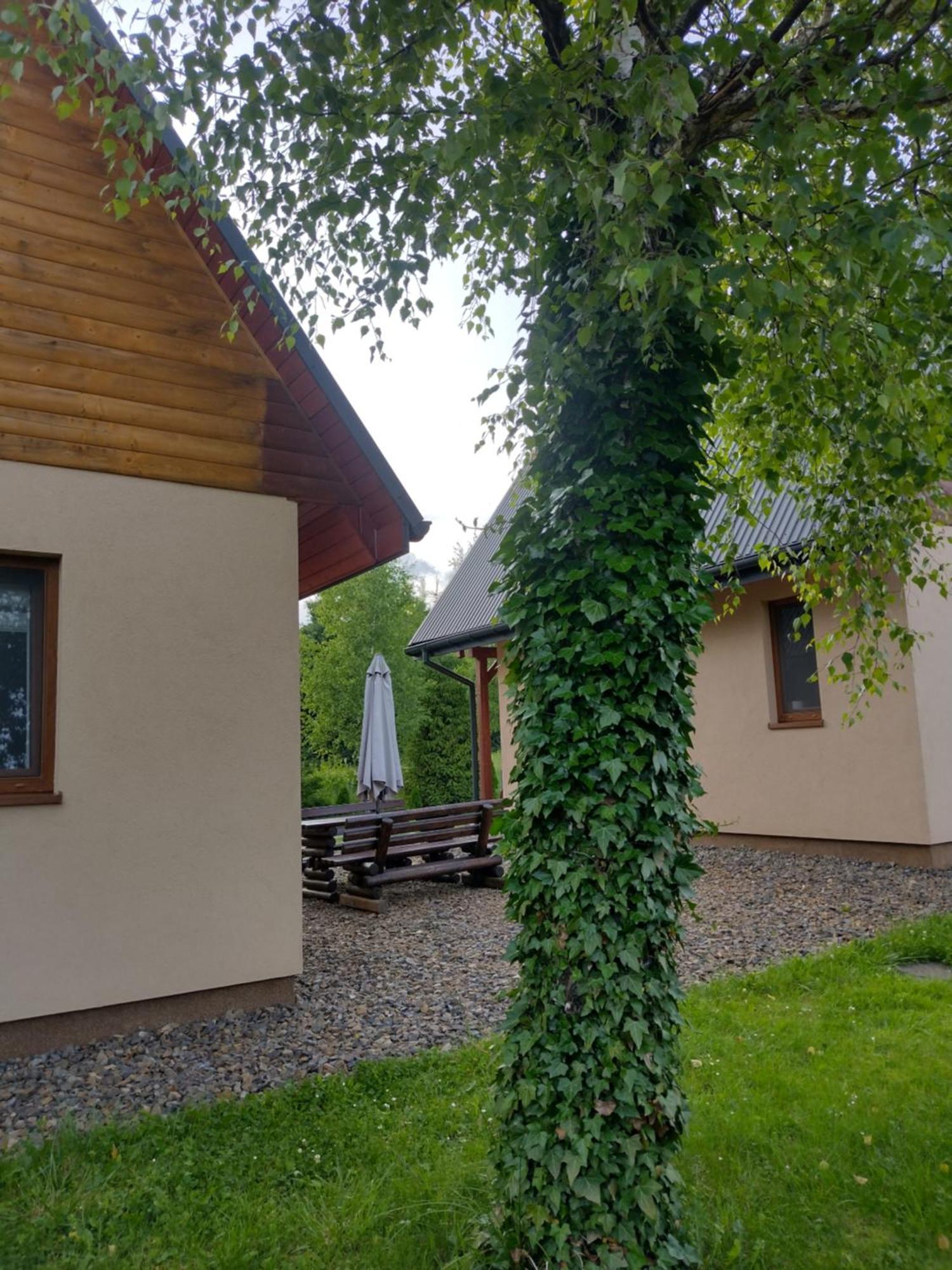 Domki Brzozowka W Bieszczadach Ustrzyki Dolne Exterior photo